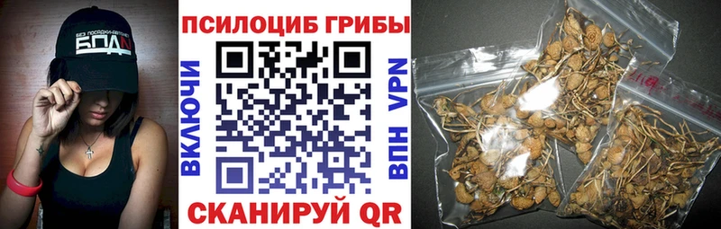 Псилоцибиновые грибы Magic Shrooms  Арамиль 